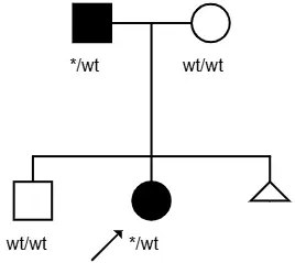 Genealogy Tool